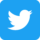 Twitter bird logo in blue and white